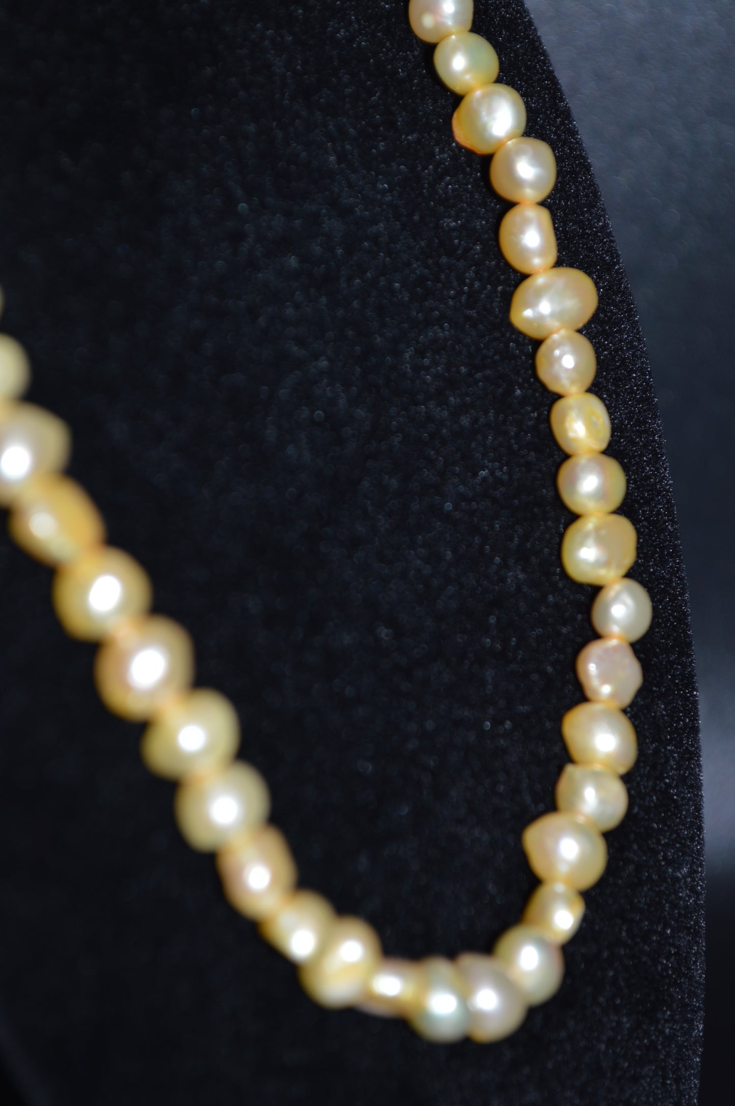 Freshwater Cultured Pearl Necklace and Earring Set (Golden Wheat)