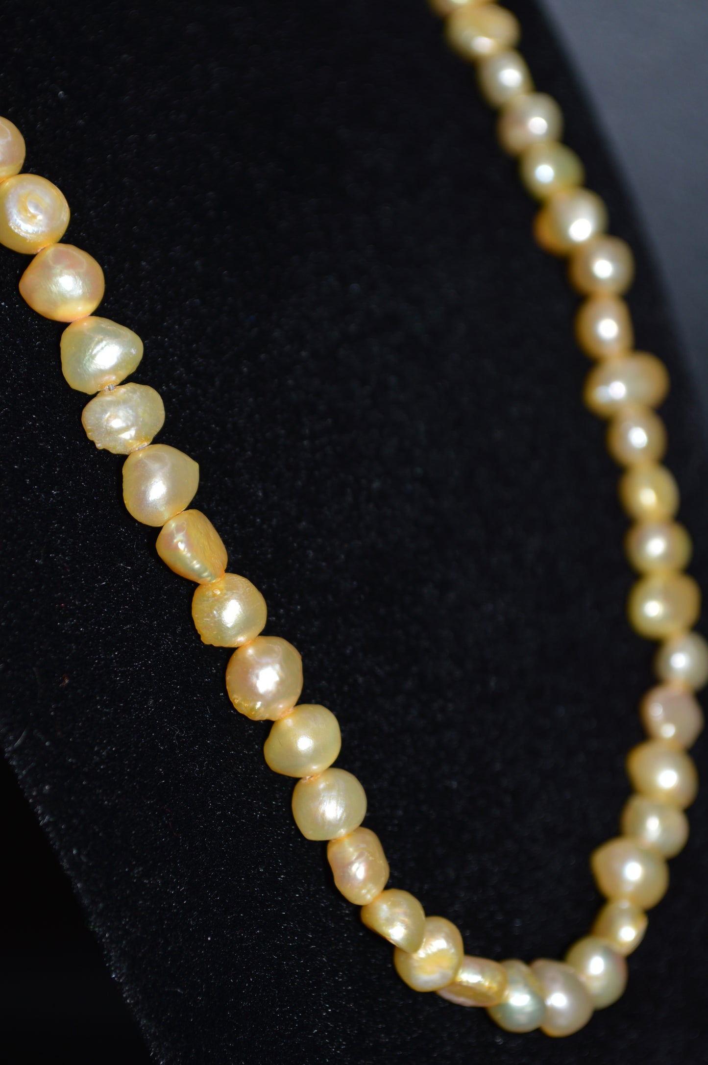 Freshwater Cultured Pearl Necklace and Earring Set (Golden Wheat)